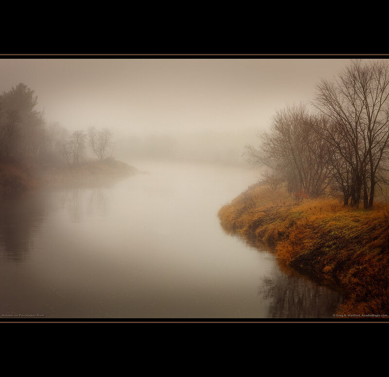 River in Autumn Fog
