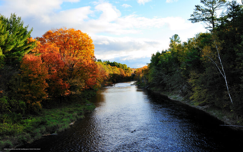 River in autumn foliage