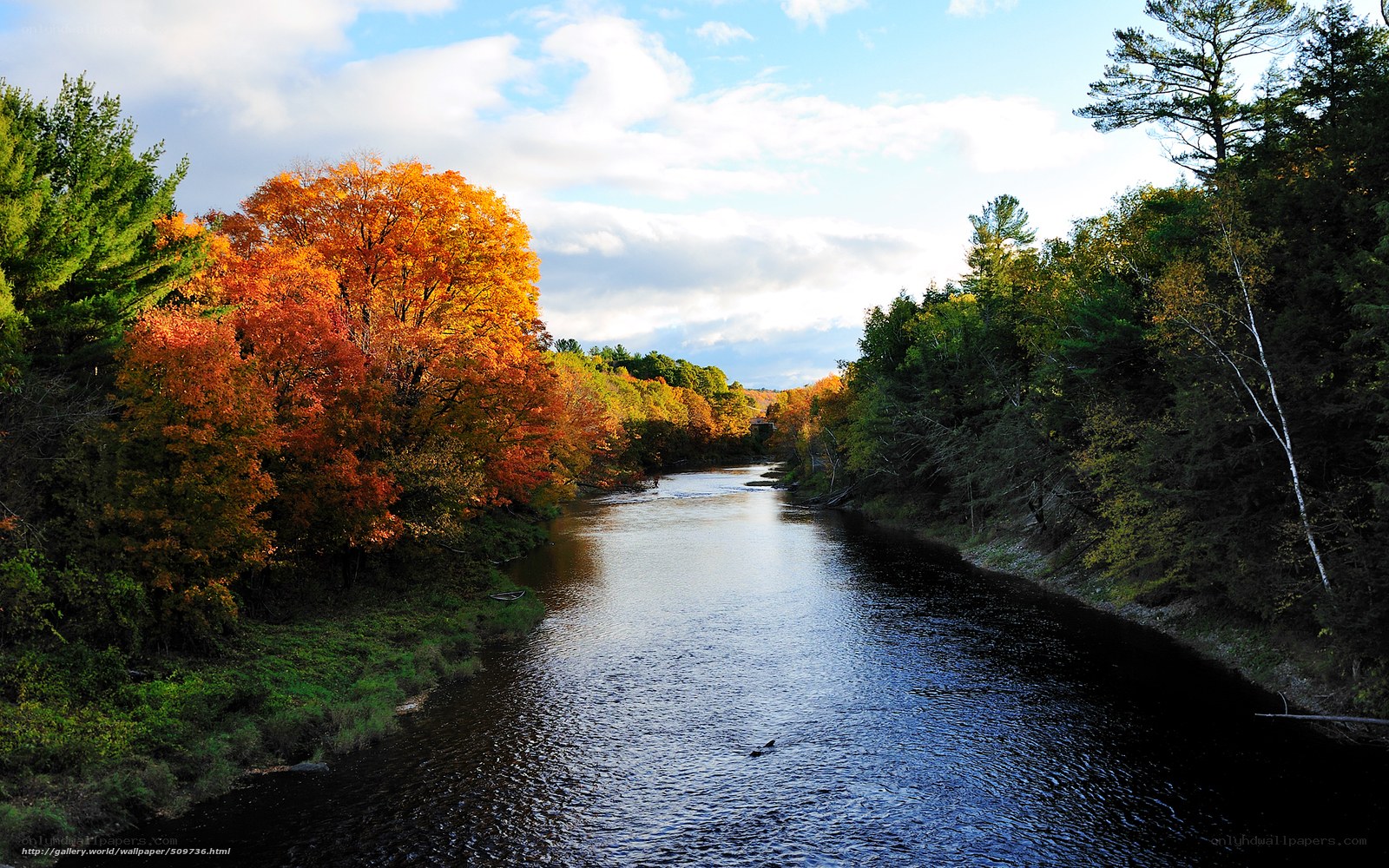 River in autumn foliage