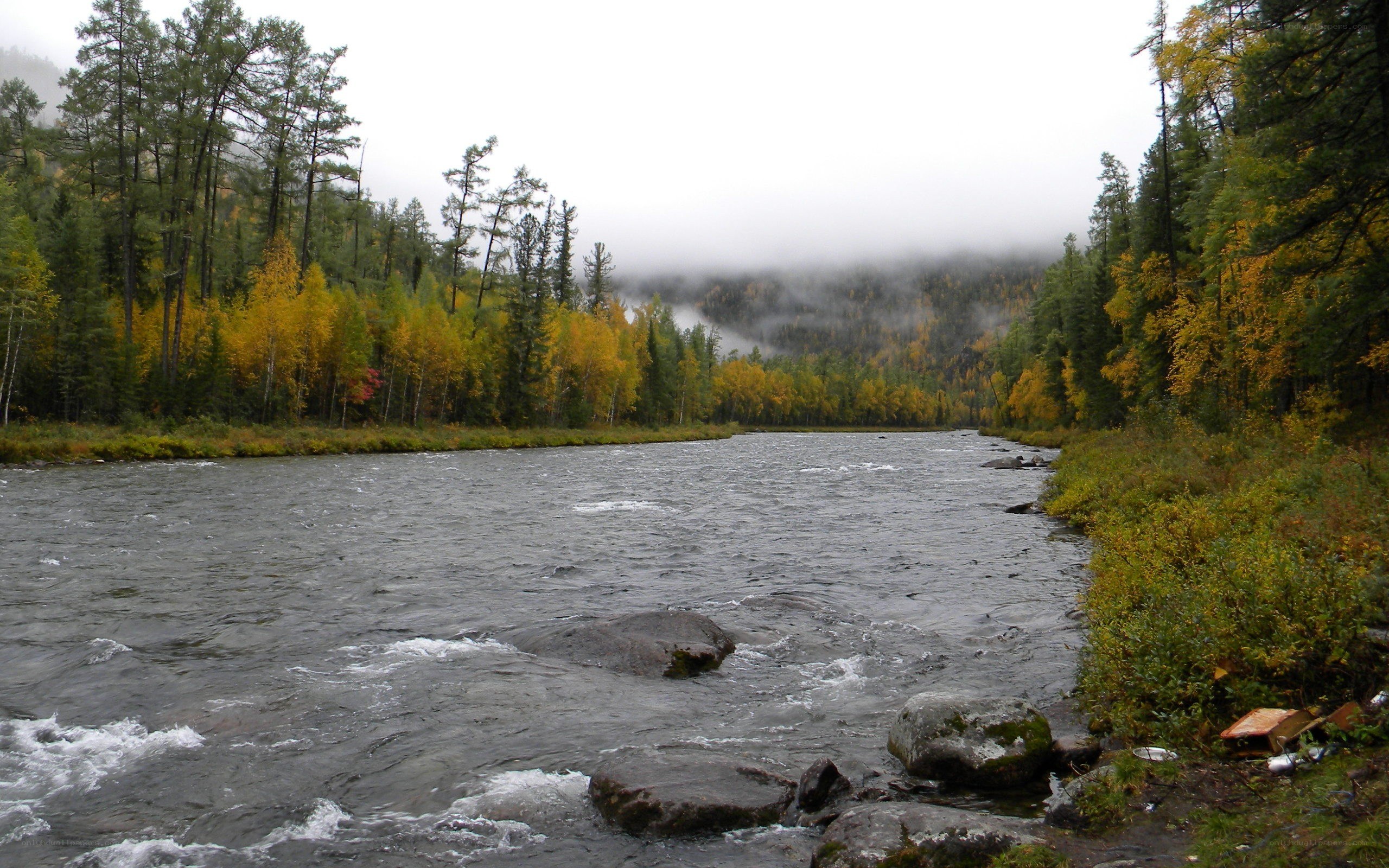 River in autumn forest