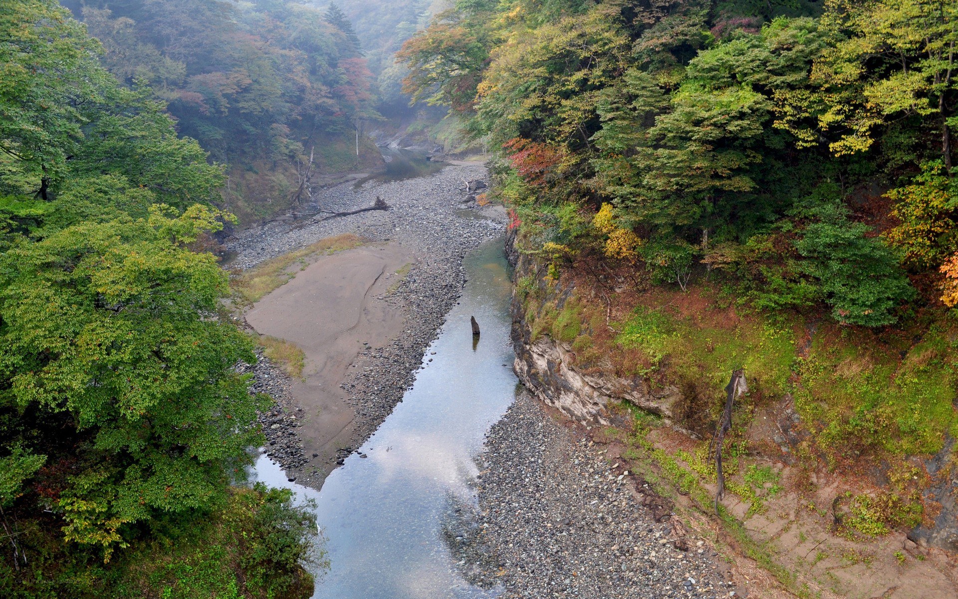 River in autumn forest