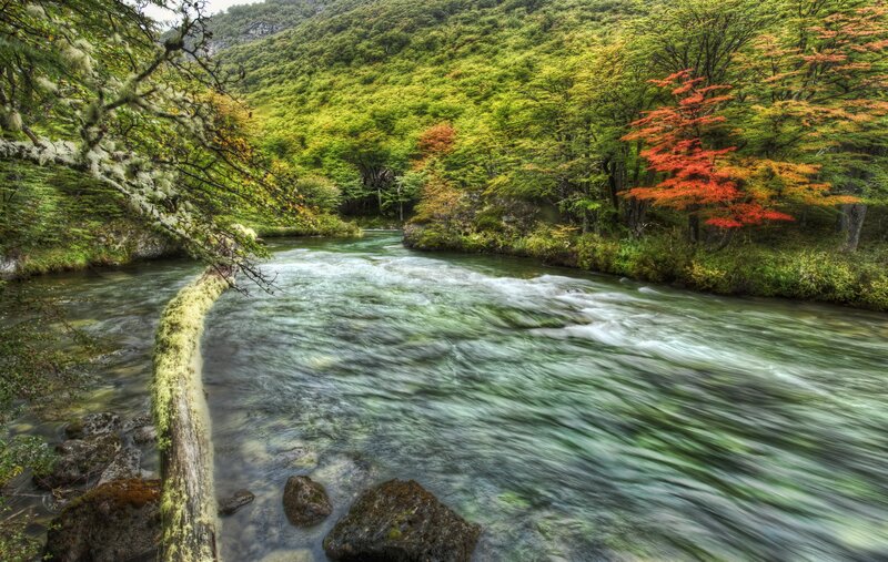 River in autumn forest