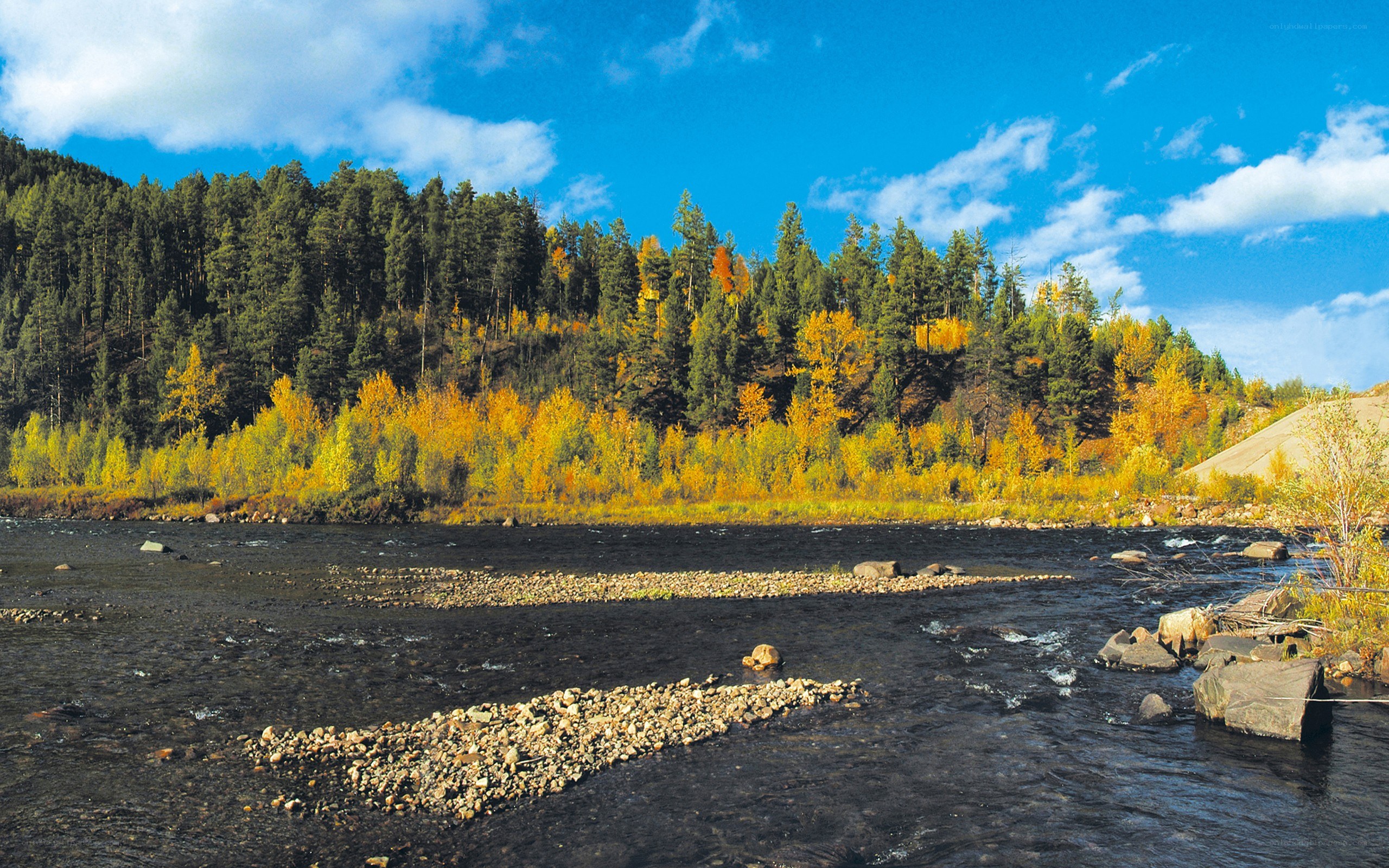 River in autumn forest