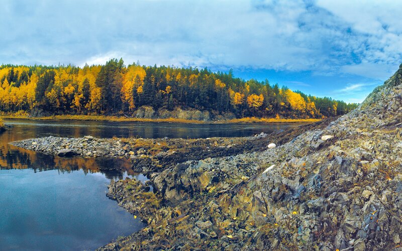 River in autumn forest
