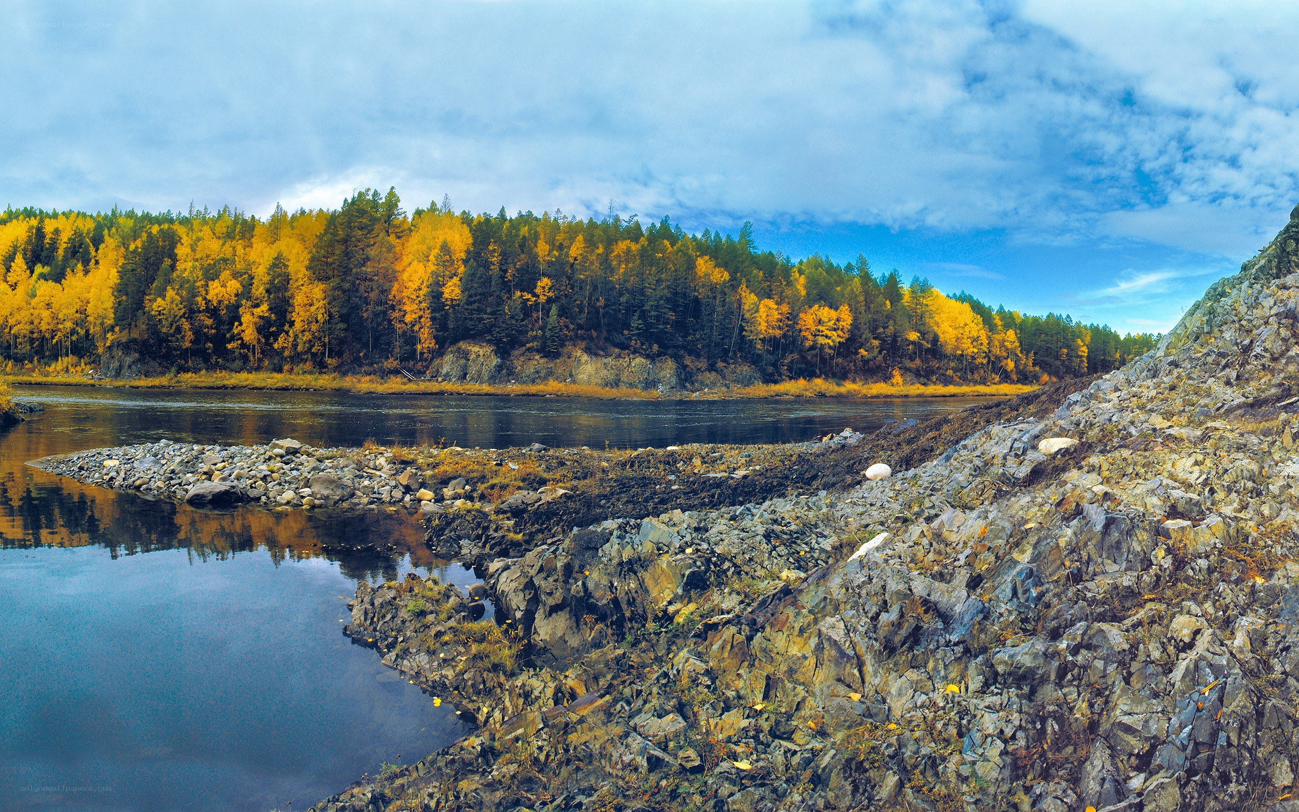 River in autumn forest