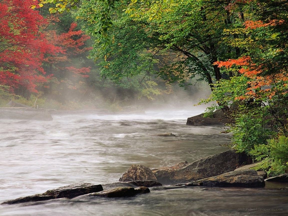 River in autumn forest