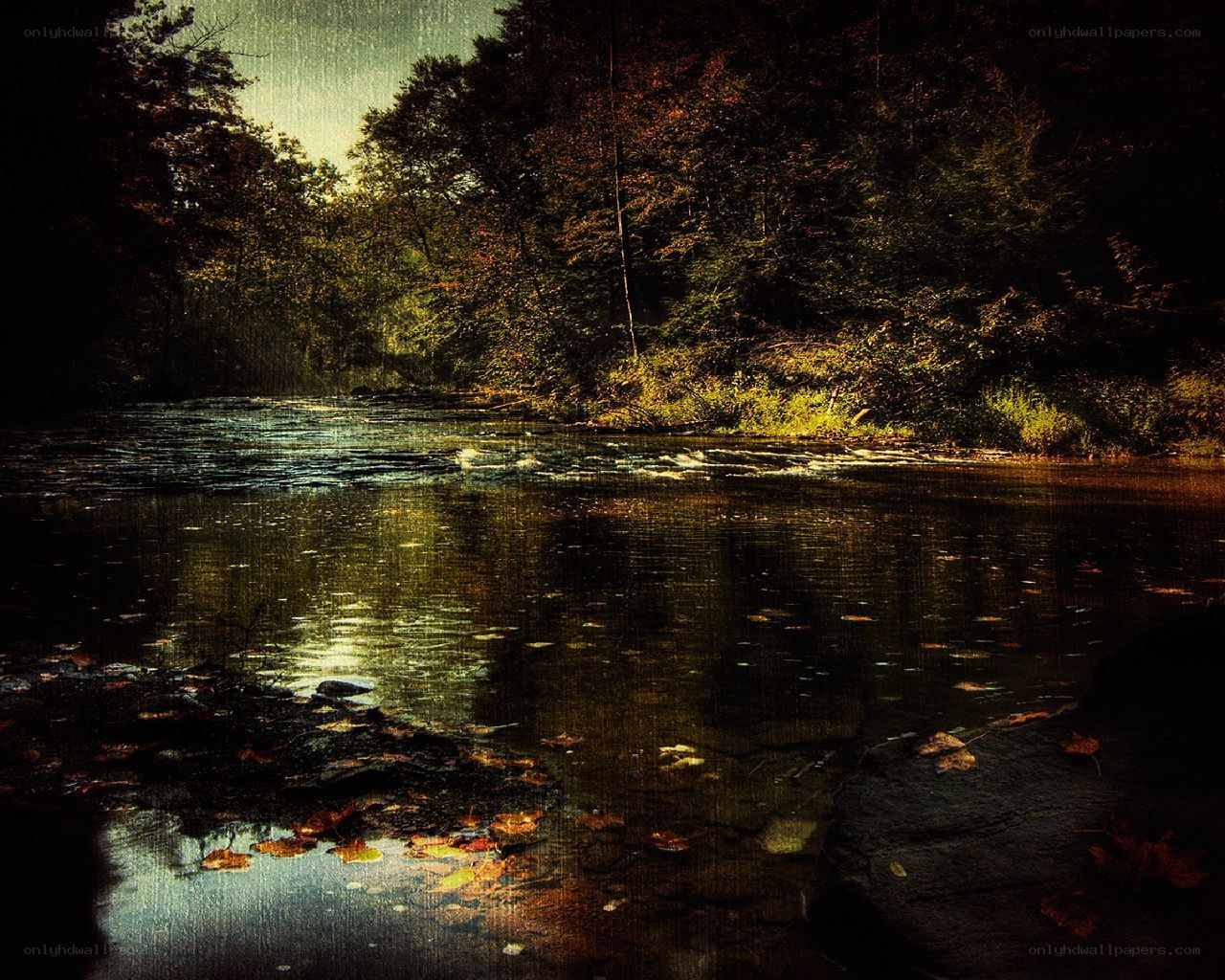River in autumn forest