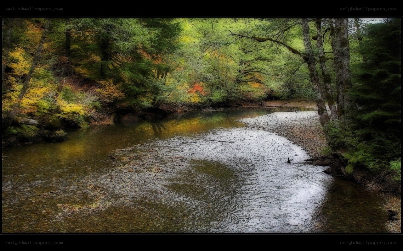 River in autumn forest