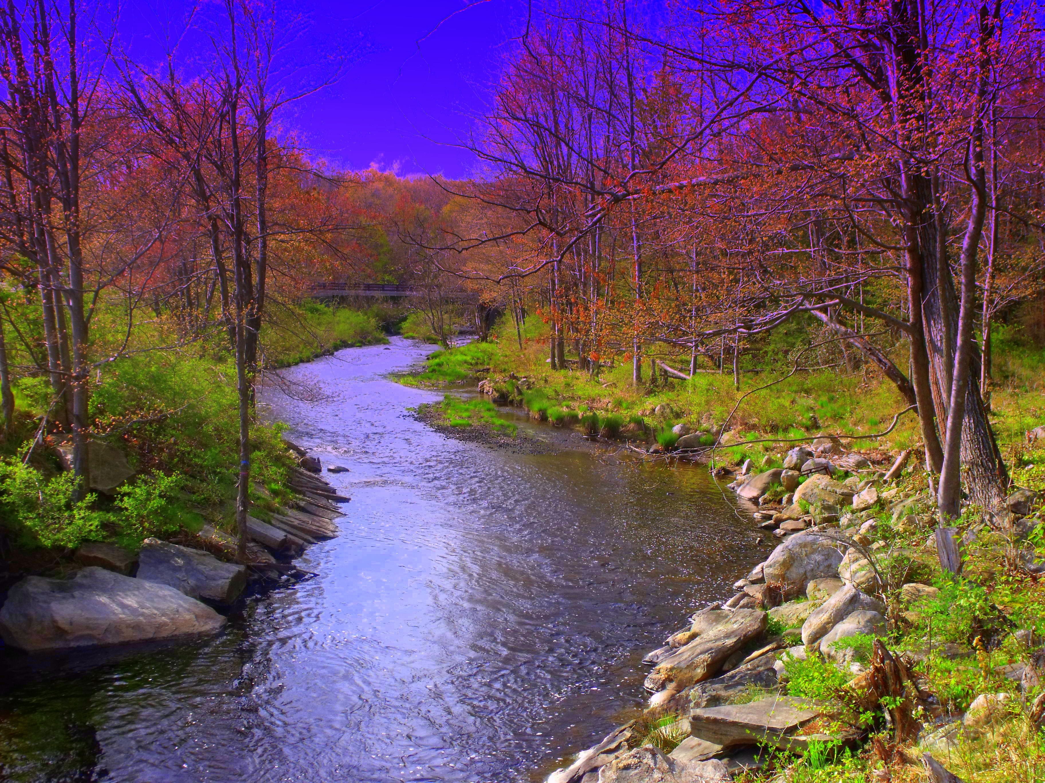 River in autumn forest