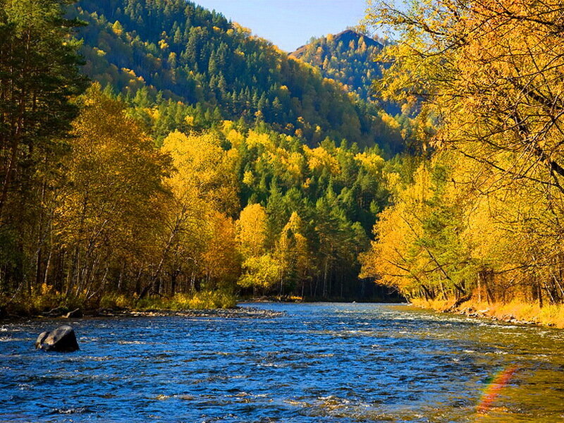 River in Autumn Forest — Blue, Serene, Photograph