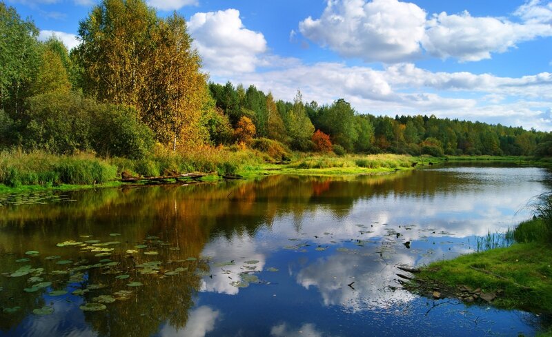 River in Autumn Forest — Blue, Serene, Photograph, Trees, Clouds