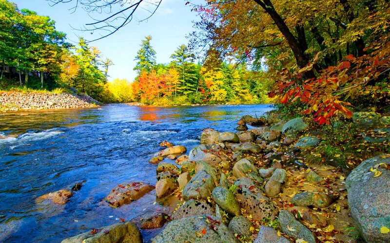 River in Autumn Forest — Blue, Serene, Photograph, Trees, Rocks, Fallen Leaves