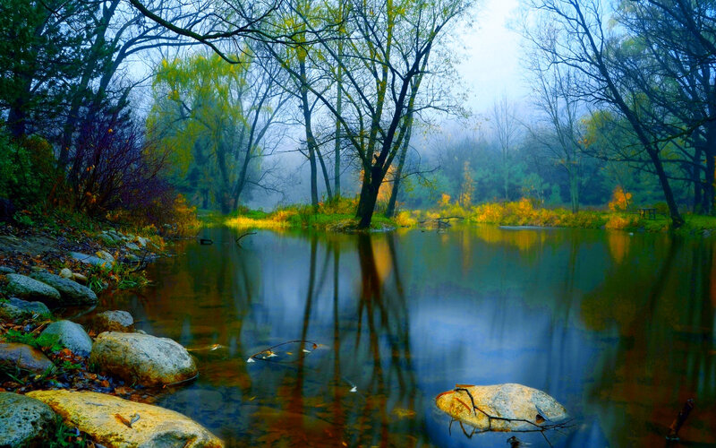 River in Autumn Forest — Blue, Serene, Photograph, Trees, Rocks, Fog
