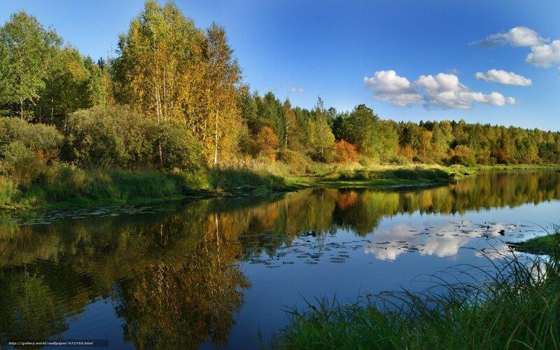 River in Autumn Forest — Blue, Serene, Photograph, Trees, Sky, Clouds