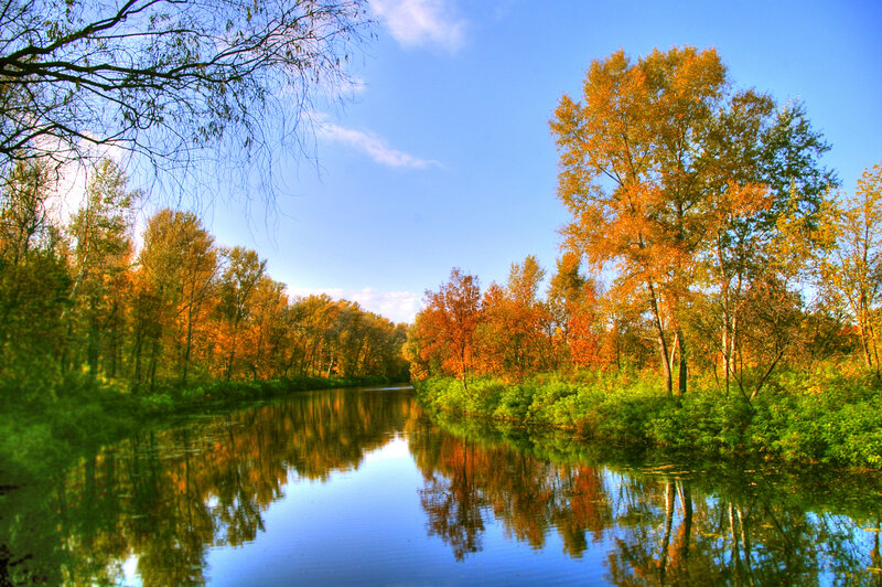 River in Autumn Forest — Blue, Serene, Photograph, Trees, Sky, Reflection