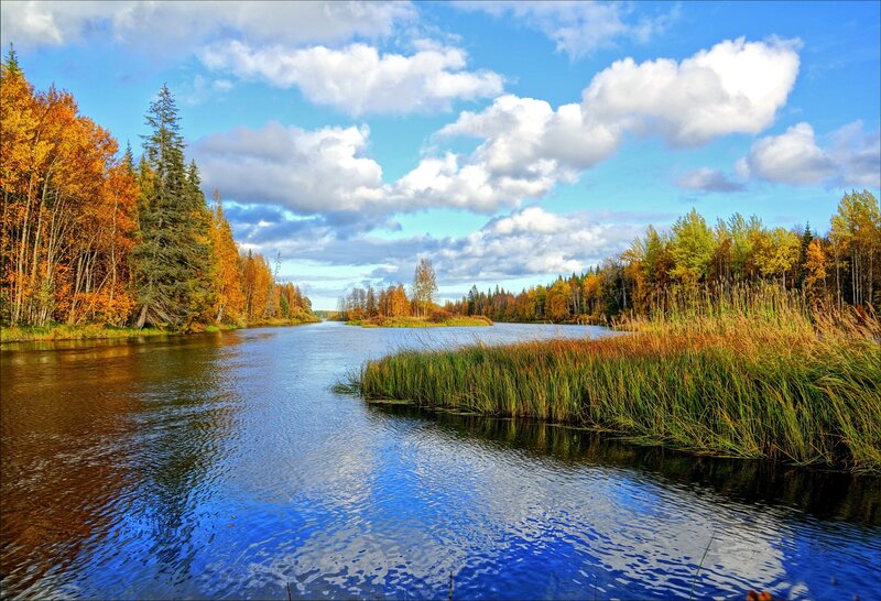 River in Autumn Forest — Blue, Serene, Photograph, Trees, Sky