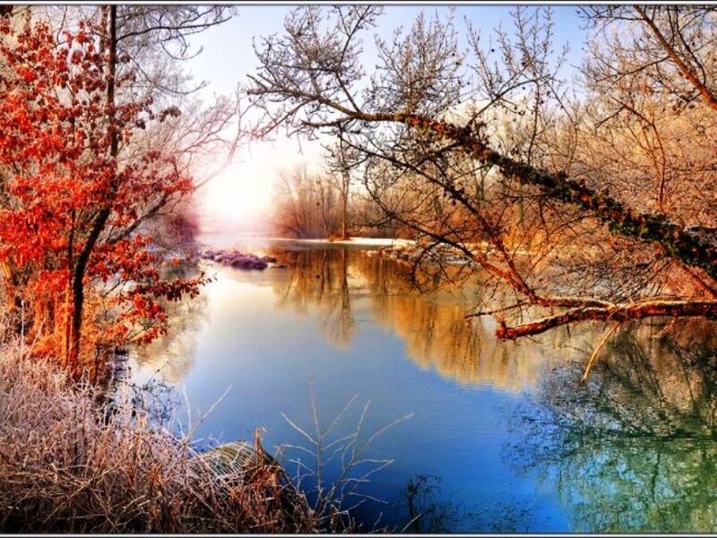 River in Autumn Forest — Blue, Serene, Photograph, Trees, Sunlight