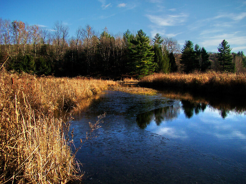 River in Autumn Forest — Blue, Serene, Photograph, Trees