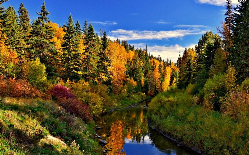 River in Autumn Forest — Blue