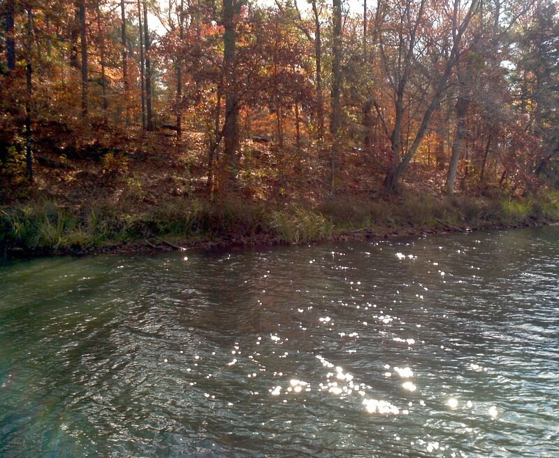 River in Autumn Forest — Brown, Serene