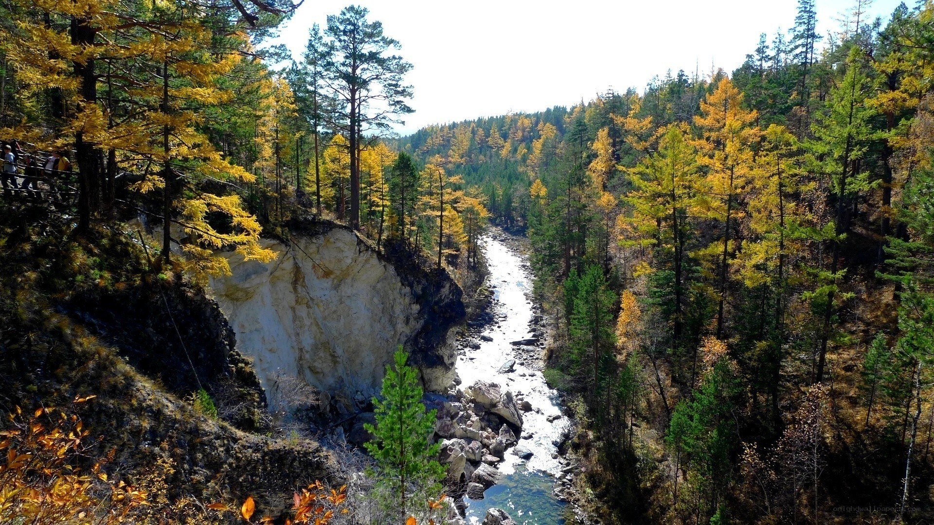River in autumn forest canyon