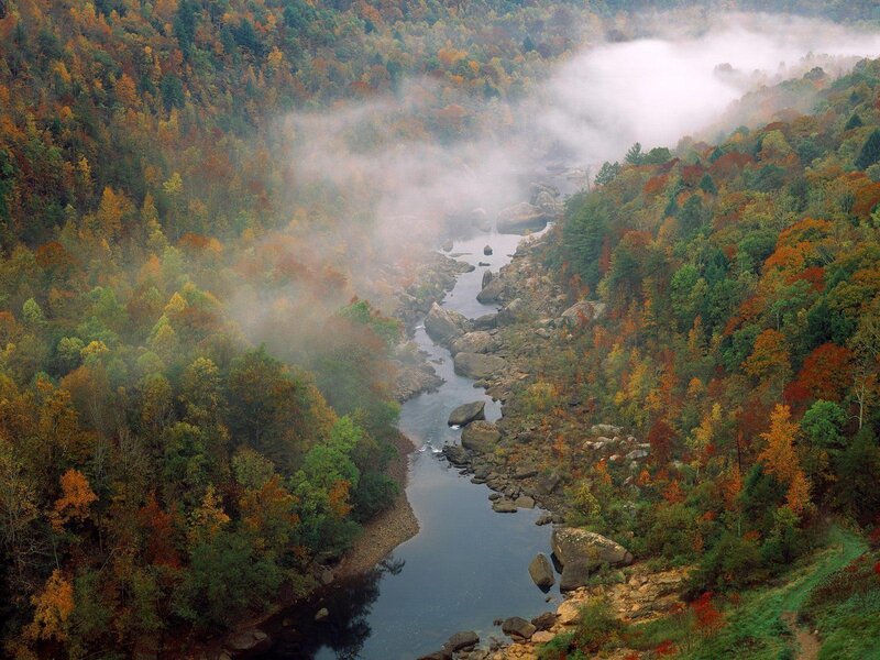 River in Autumn Forest — Fog