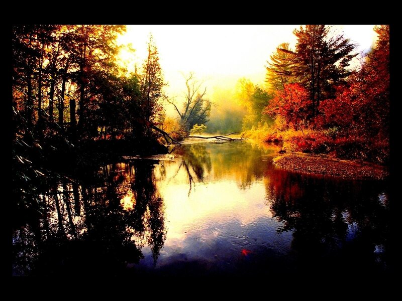 River in Autumn Forest — Gold