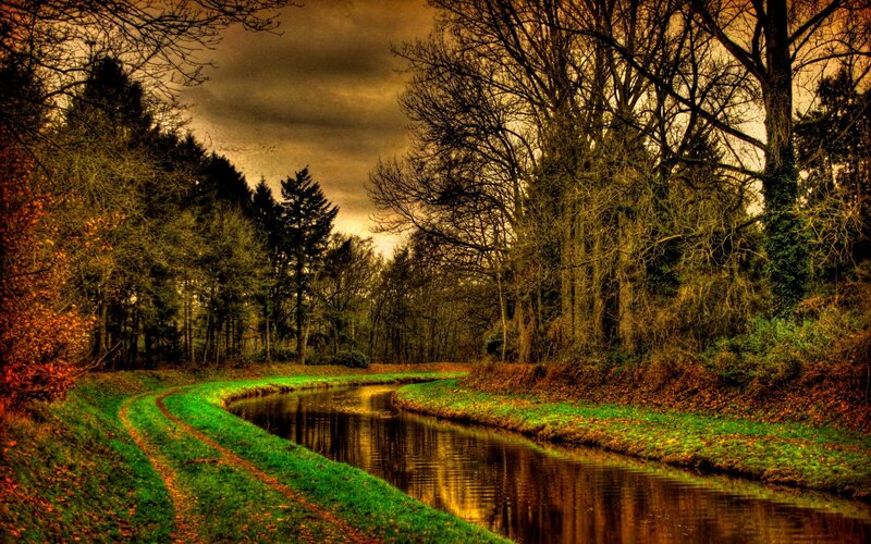 River in Autumn Forest — Green, Dramatic, Photograph