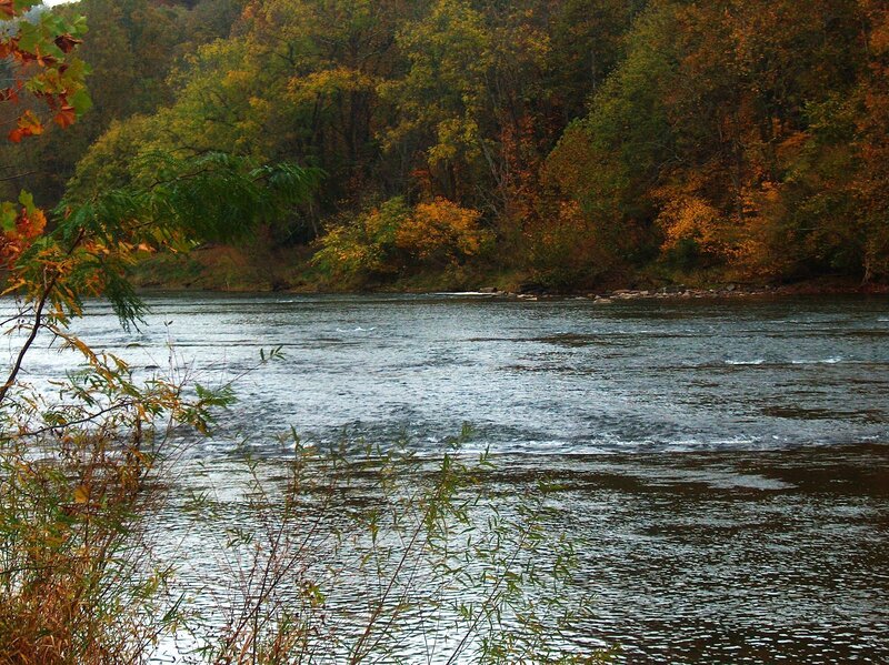 River in Autumn Forest — Green, Serene, Photograph