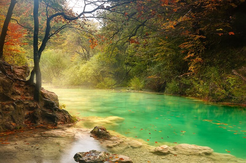 River in Autumn Forest — Green, Serene, Photograph, Trees, Leaves, Rocks