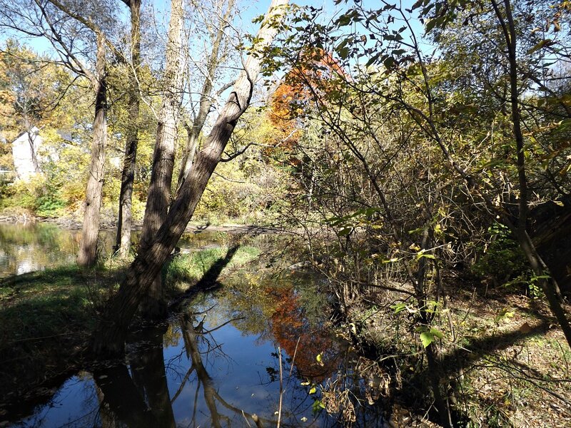 River in Autumn Forest — Green, Serene, Photograph, Trees, Leaves, Sky