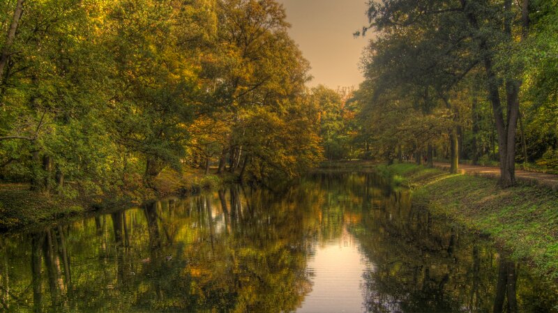 River in Autumn Forest — Green, Serene, Photograph, Trees, Reflection