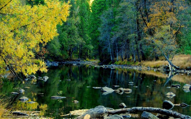 River in Autumn Forest — Green, Serene, Photograph, Trees, Rocks, Reflection