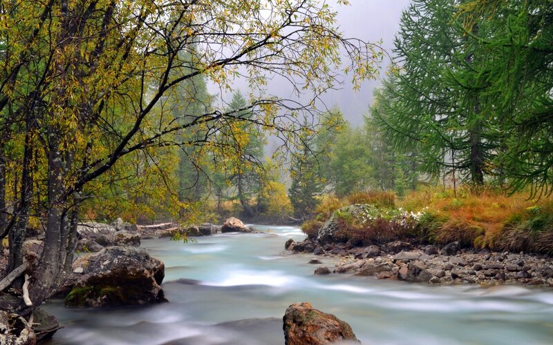 River in Autumn Forest — Green, Serene, Photograph, Trees, Rocks, Stream, Blue