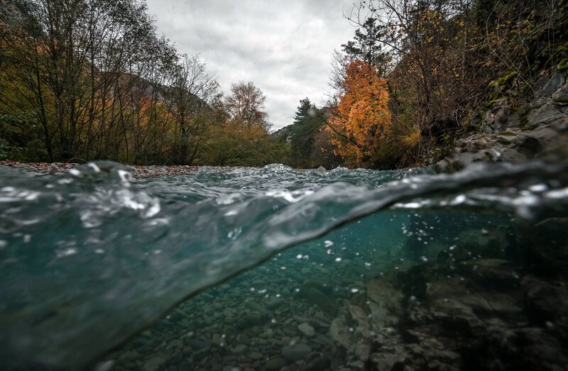 River in Autumn Forest — Green, Serene, Photograph, Trees, Rocks, Water