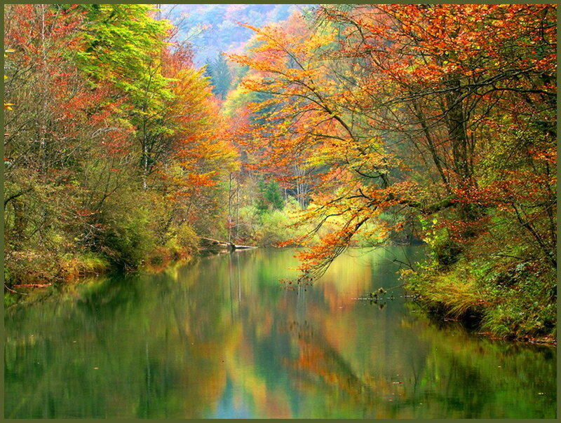 River in Autumn Forest — Green, Serene