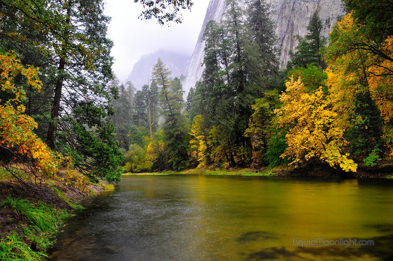 River in Autumn Forest — Green