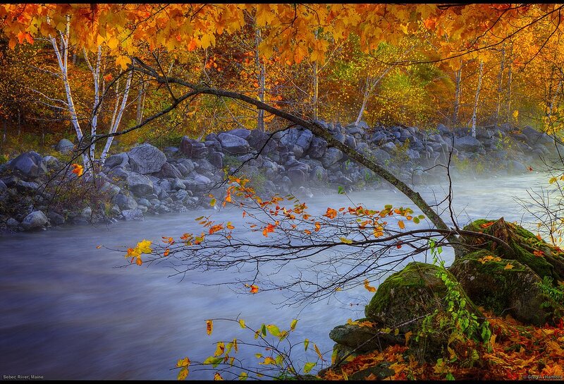 River in Autumn Forest — Orange, Serene, Photograph
