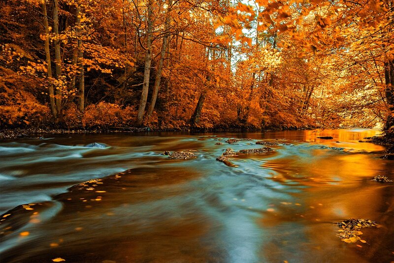 River in Autumn Forest — Orange, Serene, Photograph, Trees, Leaves, Rocks