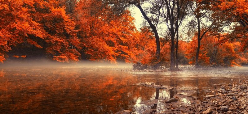 River in Autumn Forest — Orange, Serene, Photograph, Trees, Mist
