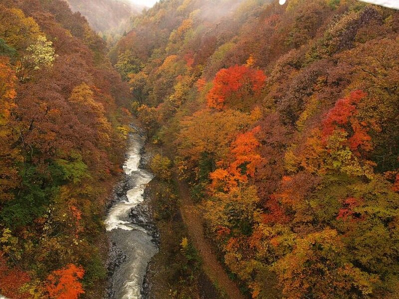 River in Autumn Forest — Orange, Serene, Photograph, Trees, Mountain