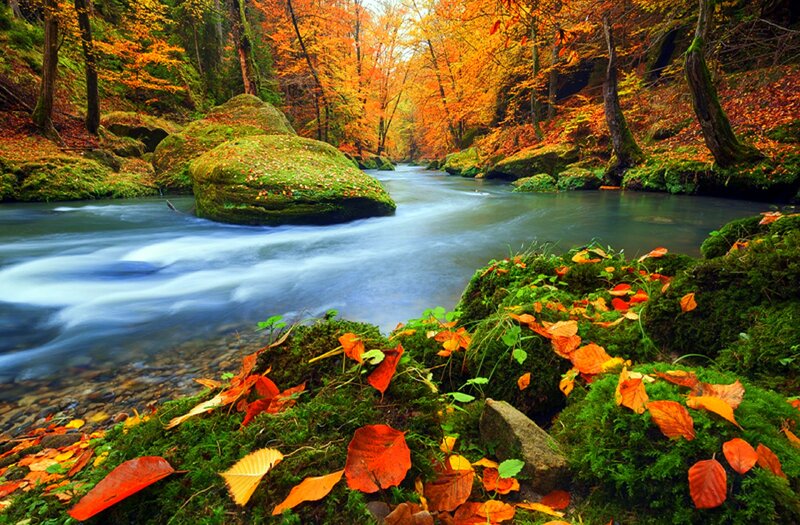 River in Autumn Forest — Orange, Serene, Photograph, Trees, Rocks, Leaves