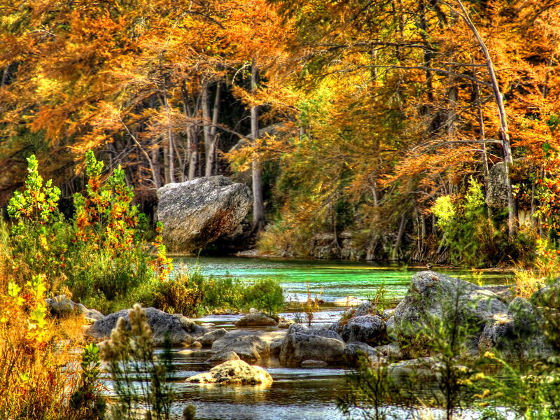 River in Autumn Forest — Orange, Serene, Photograph, Trees, Rocks, Stream