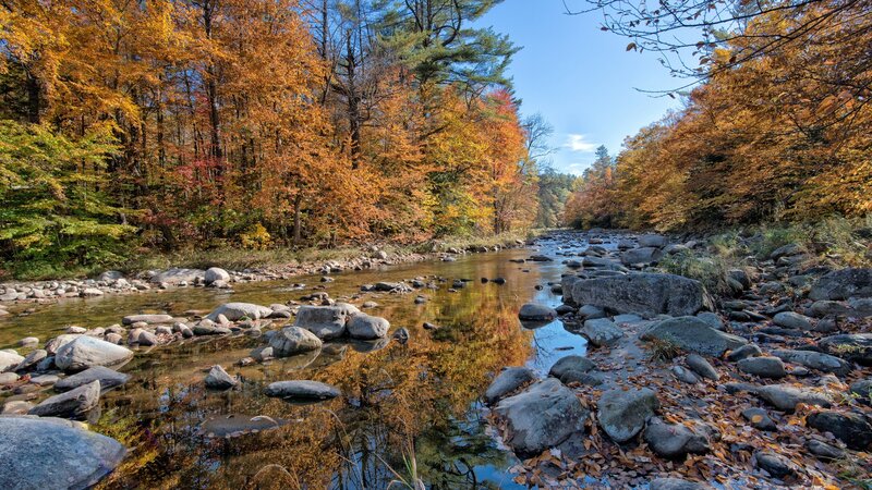 River in Autumn Forest — Orange, Serene, Photograph, Trees, Rocks, Water