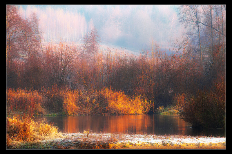 River in Autumn Forest — Orange, Serene, Photograph, Trees