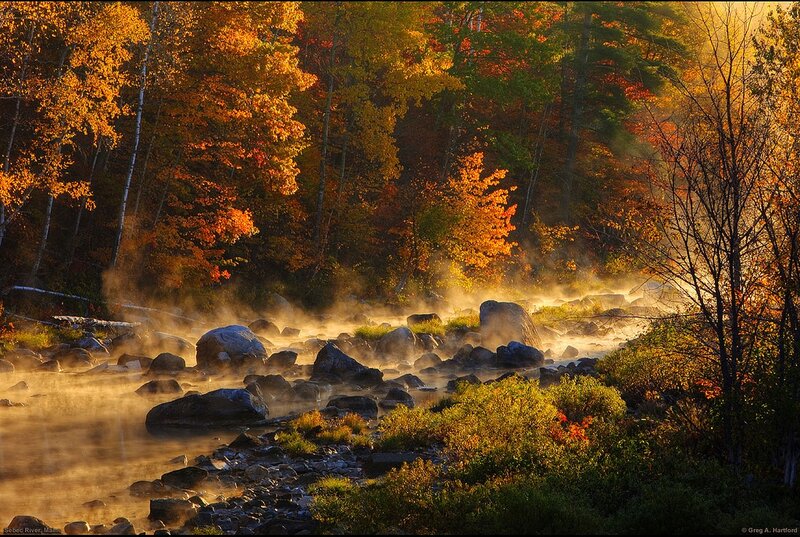 River in Autumn Forest — Orange, Serene