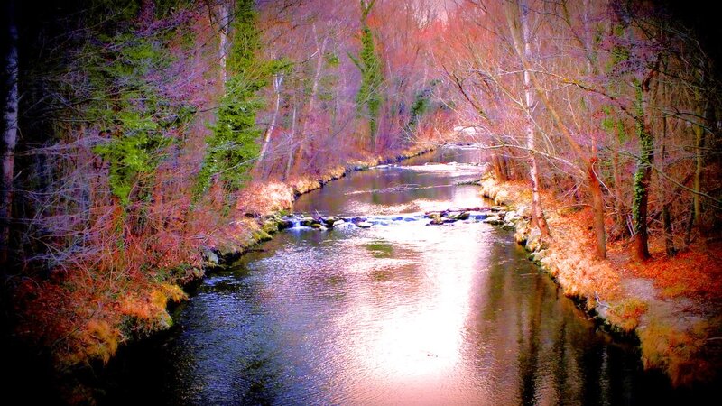 River in Autumn Forest — Purple