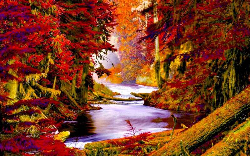 River in Autumn Forest — Red, Serene, Digital Art