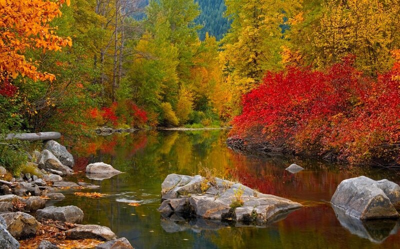 River in Autumn Forest — Red, Serene, Photograph