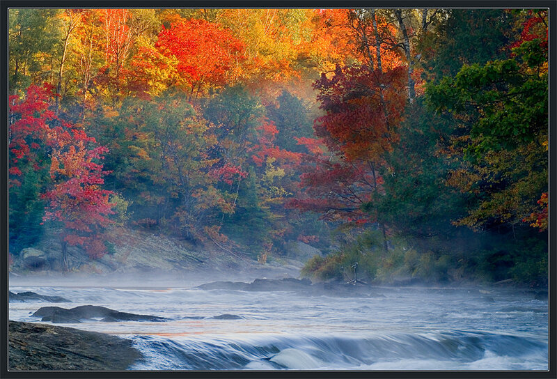 River in Autumn Forest — Red, Serene, Photograph, Trees, Mist